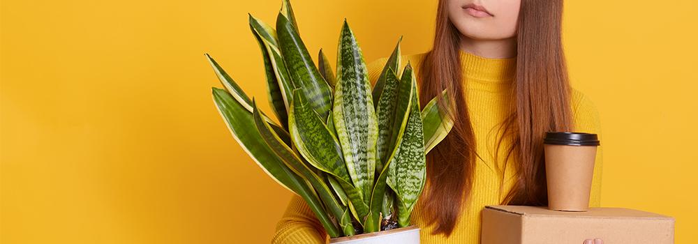 Dismissal for unfitness: definition, conditions and procedure