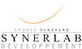 logo-synerlab-developpement